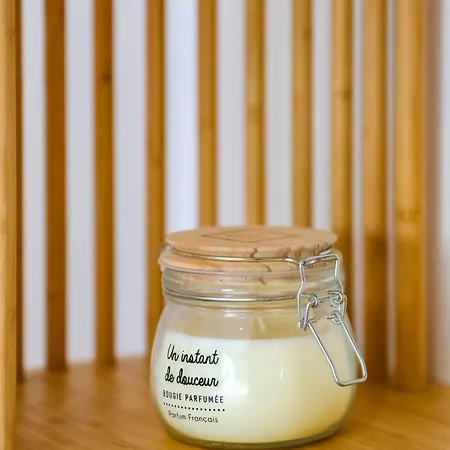 Dom wakacyjny Maison De Confort 10 Personnes Avec Piscine Montauban